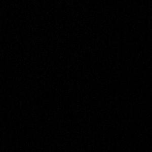 Meet your Posher, Colbi